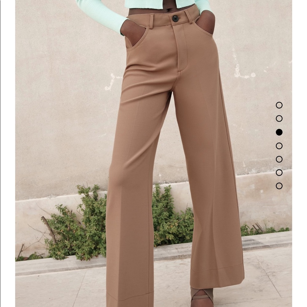 NWT Zara pants